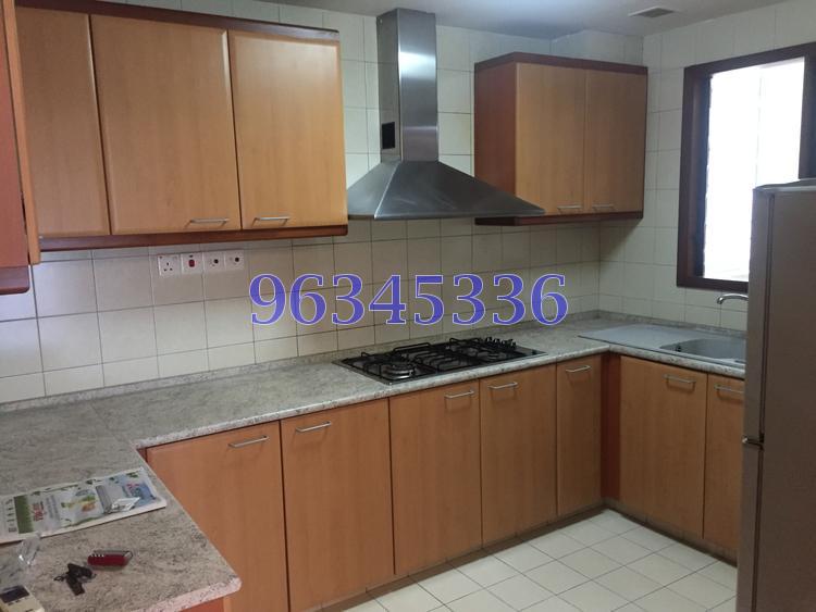 Carissa Park Condominium (D17), Condominium #95149052